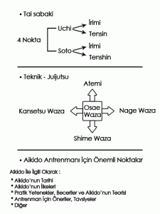 aikido nedir