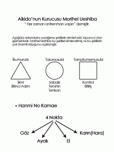 aikidonun yapısı