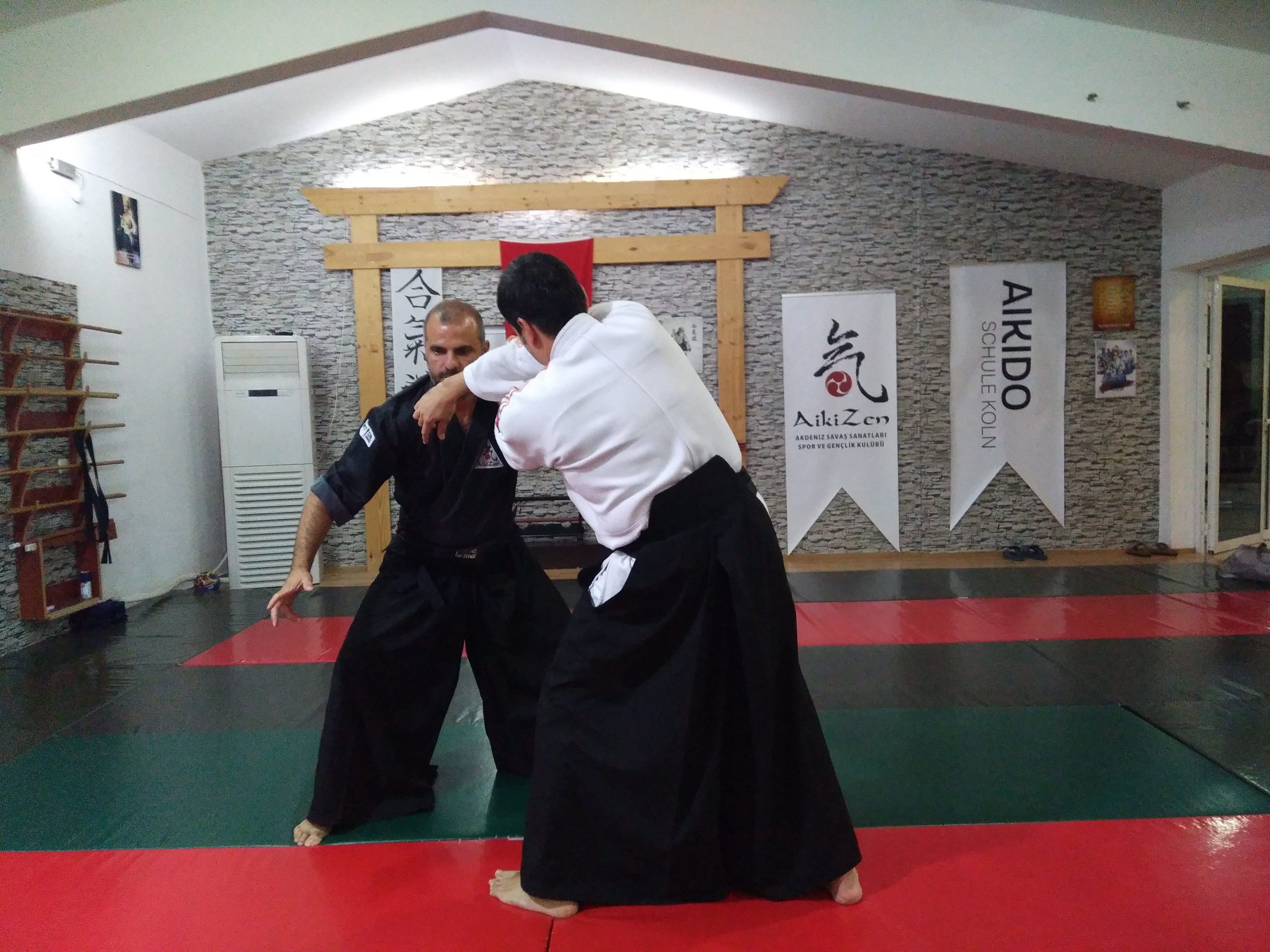aikido nıkyo
